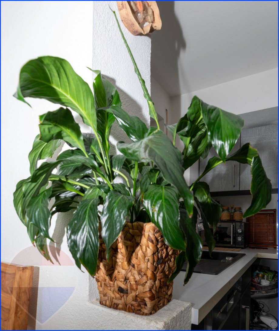 Immobilienmakler Peiting Haus zu verkaufen Andre Stockhausen-17 Etagenwohnung Peiting